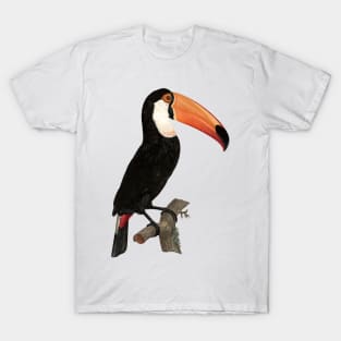 Regal Toucan sitting on Branch T-Shirt